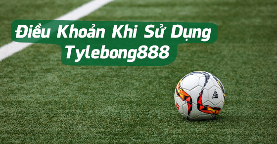 Điều Khoản Khi Sử Dụng Tylebong888