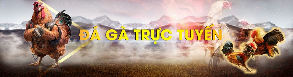 Cách tham gia đá gà trực tiếp tại Vegas79