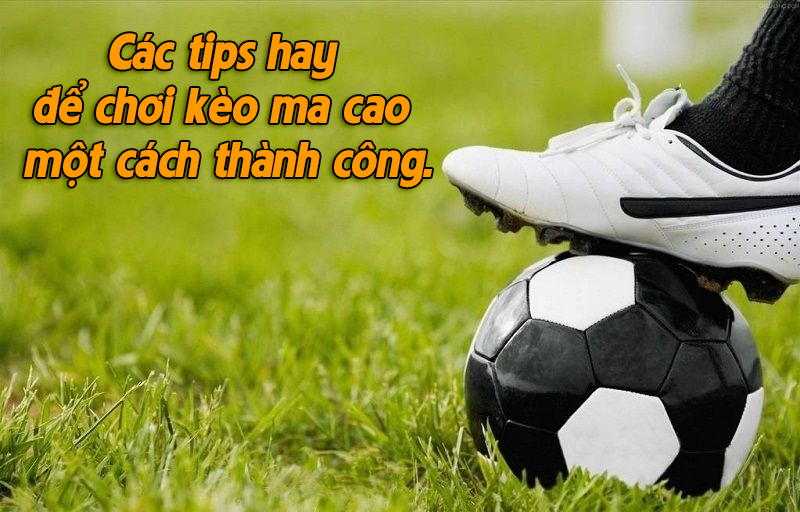 Các tips hay để chơi kèo ma cao một cách thành công.