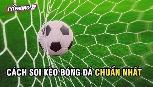 Kinh nghiệm Chọn Kèo Bóng Đá Thắng 100%