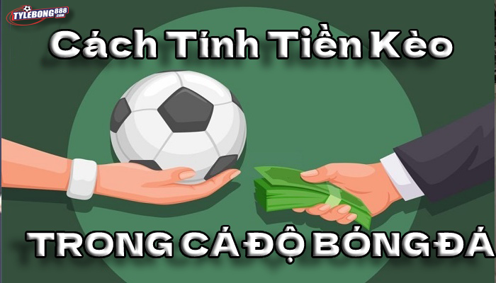 Cách tính tiền trong cá độ bóng đá rất đơn giản