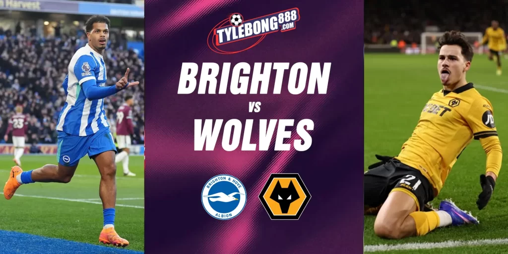 Phân Tích Phong Độ Brighton vs Wolves.